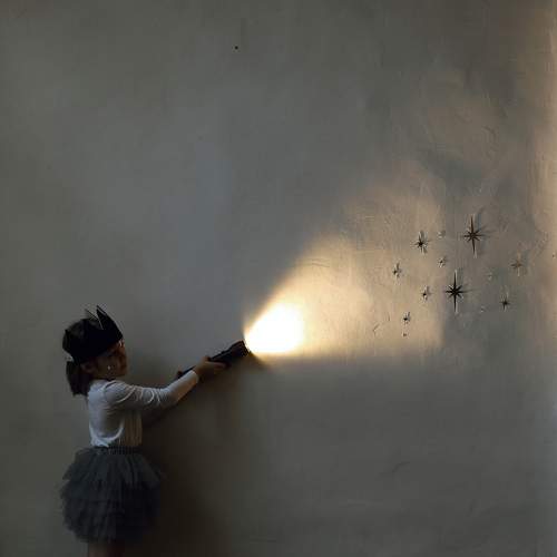 Photo #11606645