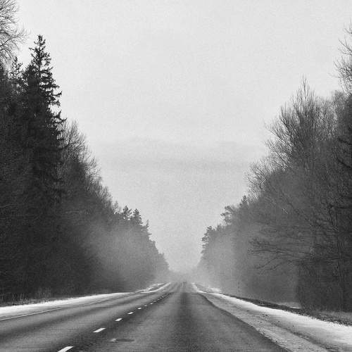 Photo #11606816