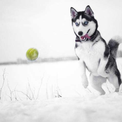 Photo #11606888