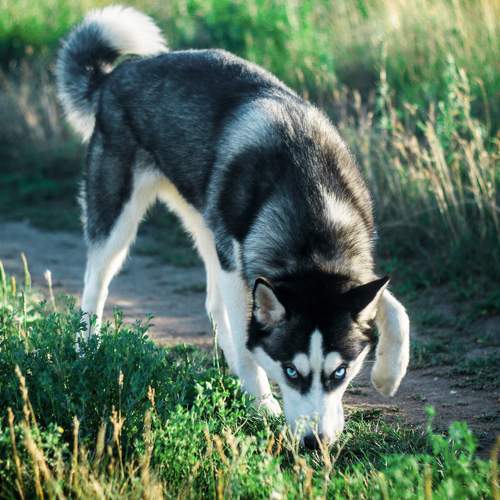 Photo #11606889