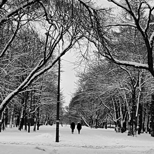 Photo #11606904