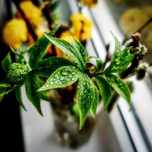 Photo #11607311