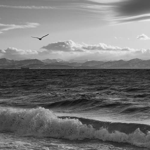 Photo #11607536