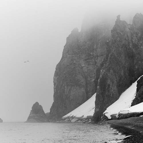 Photo #11607572