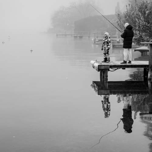 Photo #11608319