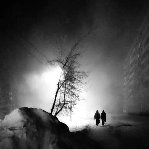 Photo #11608413