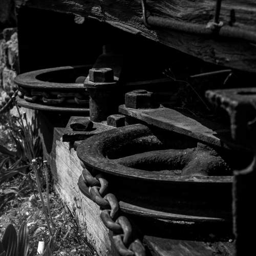 Photo #11608589