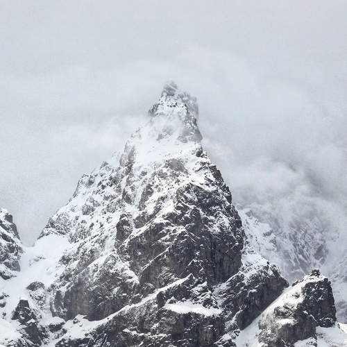 Photo #11609316