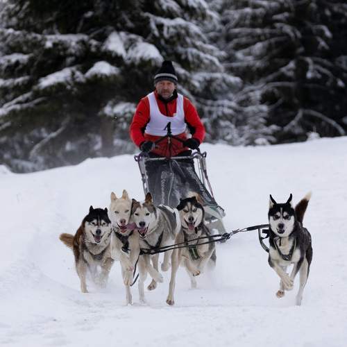 Photo #11609349