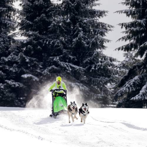 Photo #11609351