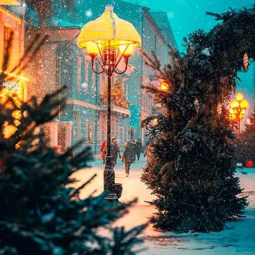 Photo #11609492
