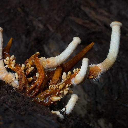 Photo #11609760