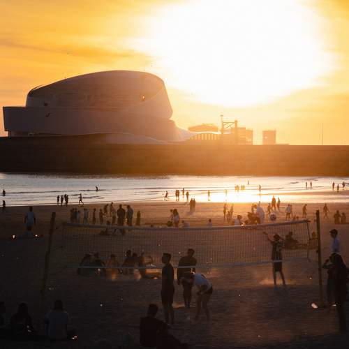 Photo #11609811
