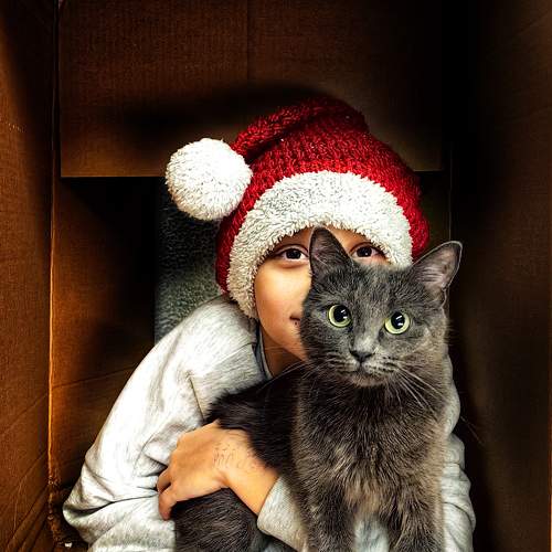Photo #11609923