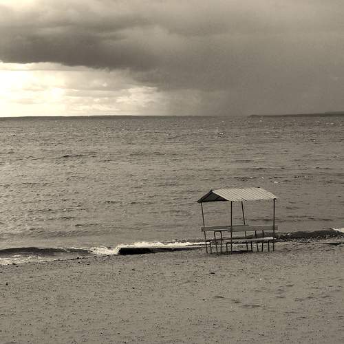 Photo #11610047