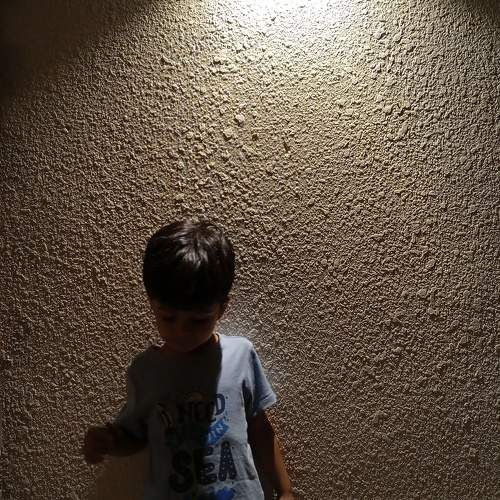Photo #11610378