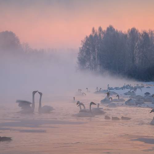 Алтайское утро...