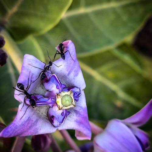 Photo #11610739