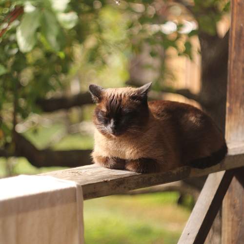 Photo #11610856