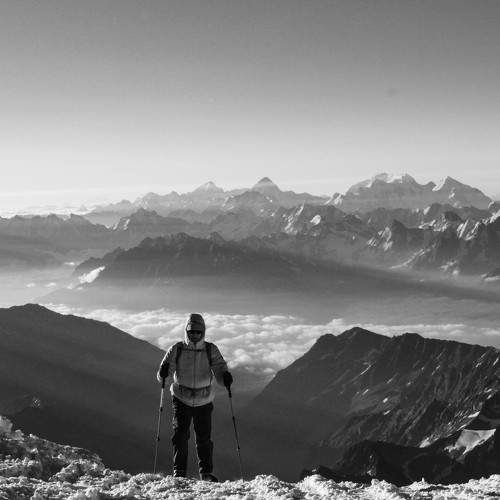 Photo #11611022