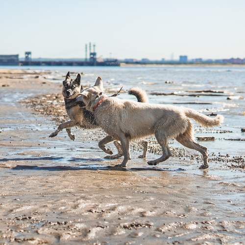 Photo #11611101