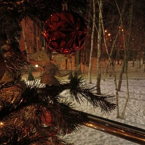 Photo #11611521