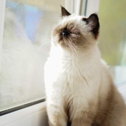 Photo #11611543
