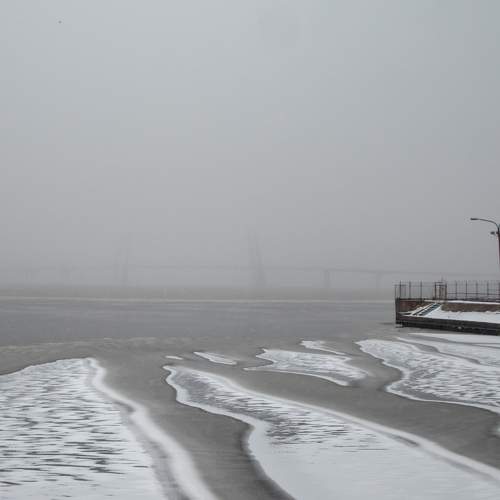 Photo #11611636