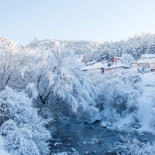Photo #11612254