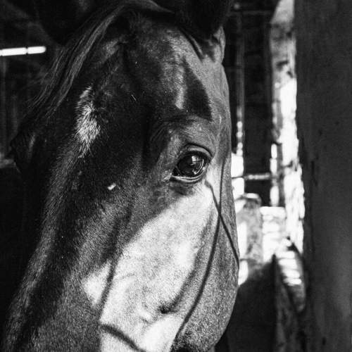 Photo #11612580
