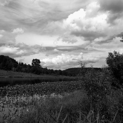 Photo #11613214