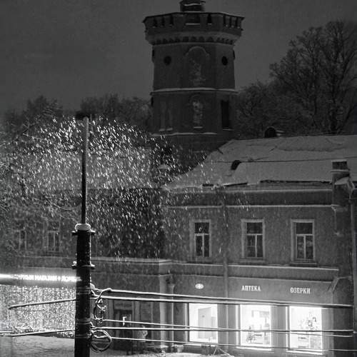 Photo #11613217