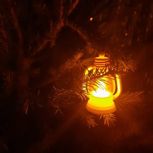 Photo #11613219