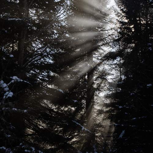 Photo #11613244