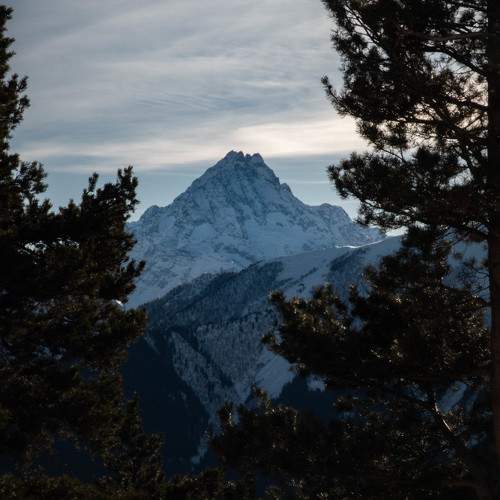 Photo #11613245