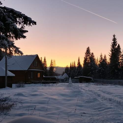 Photo #11613464