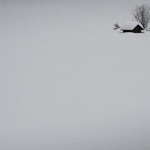 Photo #11613592