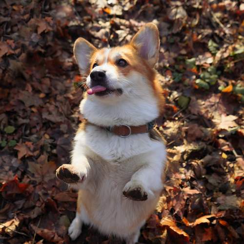Photo #11613850