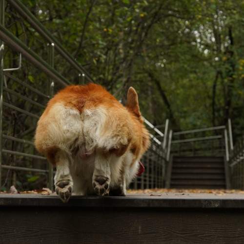 Photo #11613884