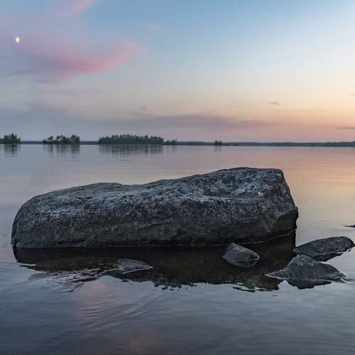 Photo #11613929