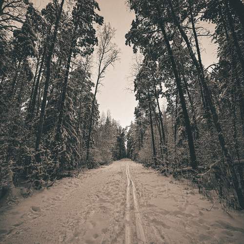 Photo #11614043