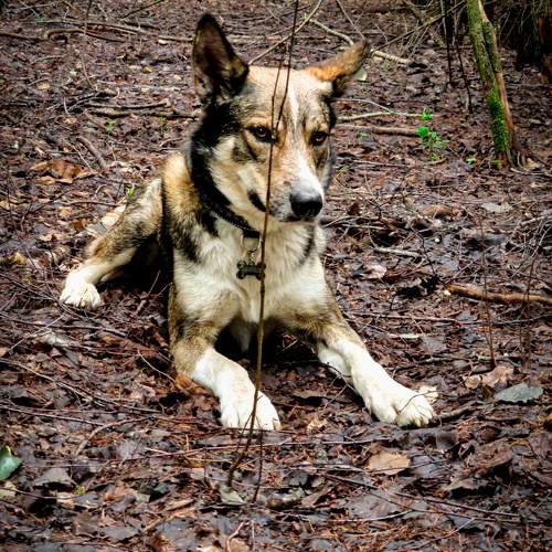 Photo #11614553