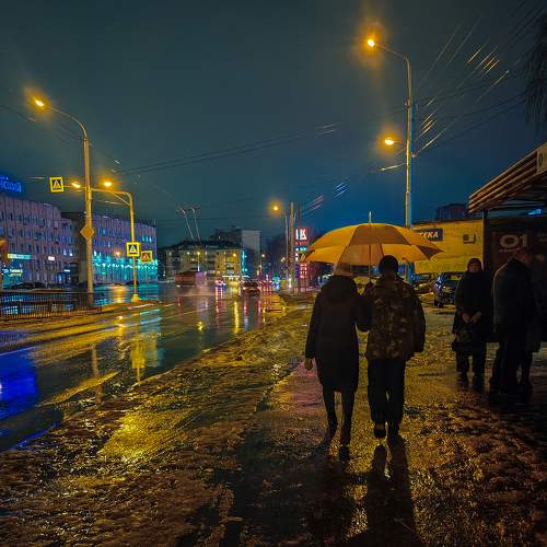 Photo #11614610