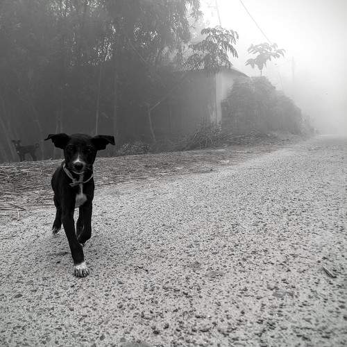 Photo #11615022