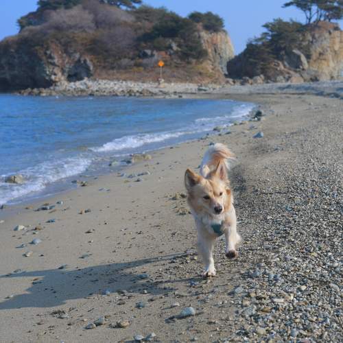 Фотография #11615329