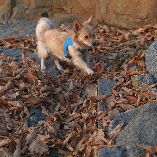 Фотография #11615339