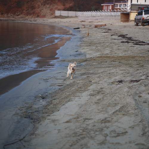 Фотография #11615344