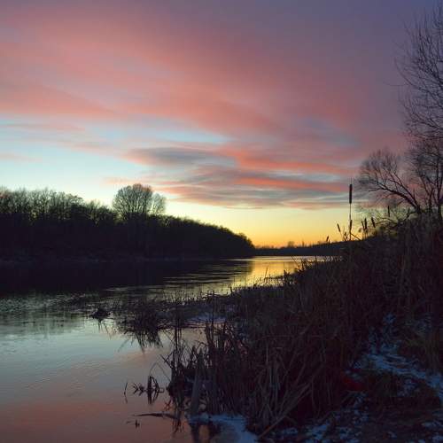 Photo #11615534