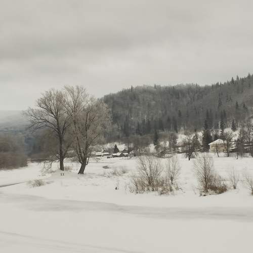 Photo #11615615