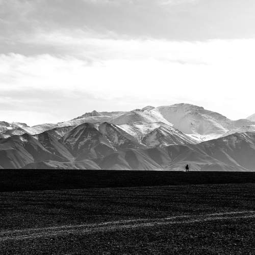 Photo #11615764